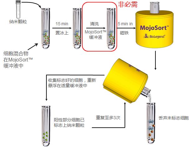 MojoSort 陽性選擇細(xì)胞分離步驟.jpg